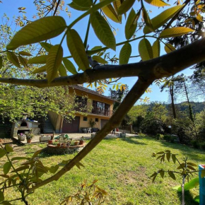 Bed & breakfast Le cicale e la formica